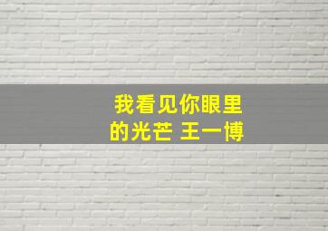 我看见你眼里的光芒 王一博